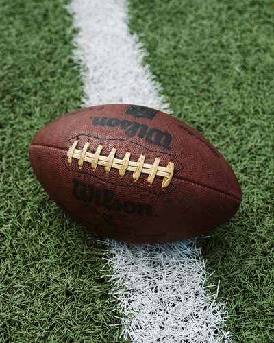 Wilson brown grass American football
